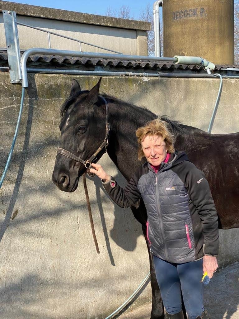 Paardrijles en horsemenship Locristi