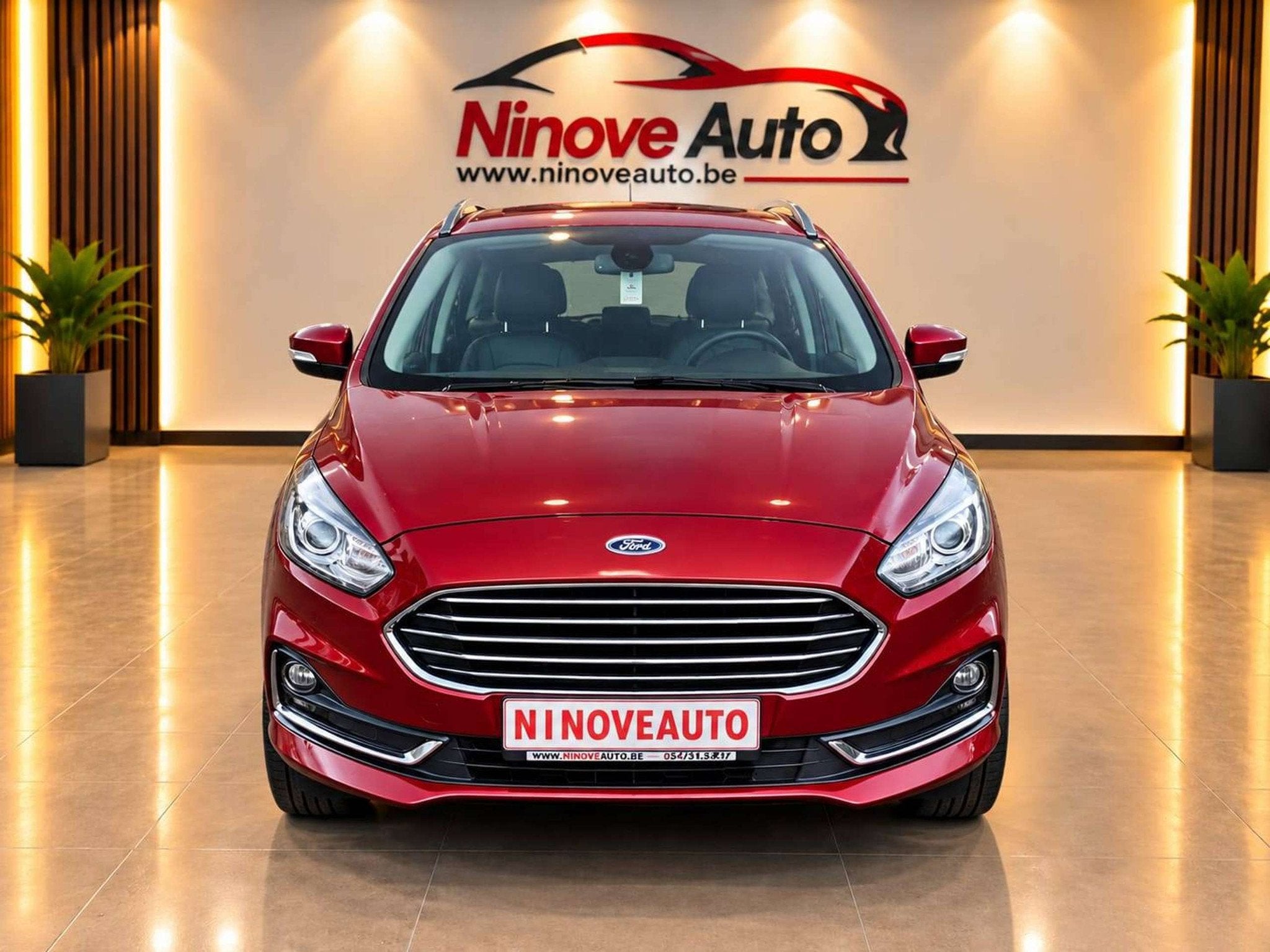 Ford S-Max 2.0 TDCi Titanium(EU6d) CARPLAY CAMERA FULL OPTIE, Rouge, Achat, Entreprise, Boîte manuelle