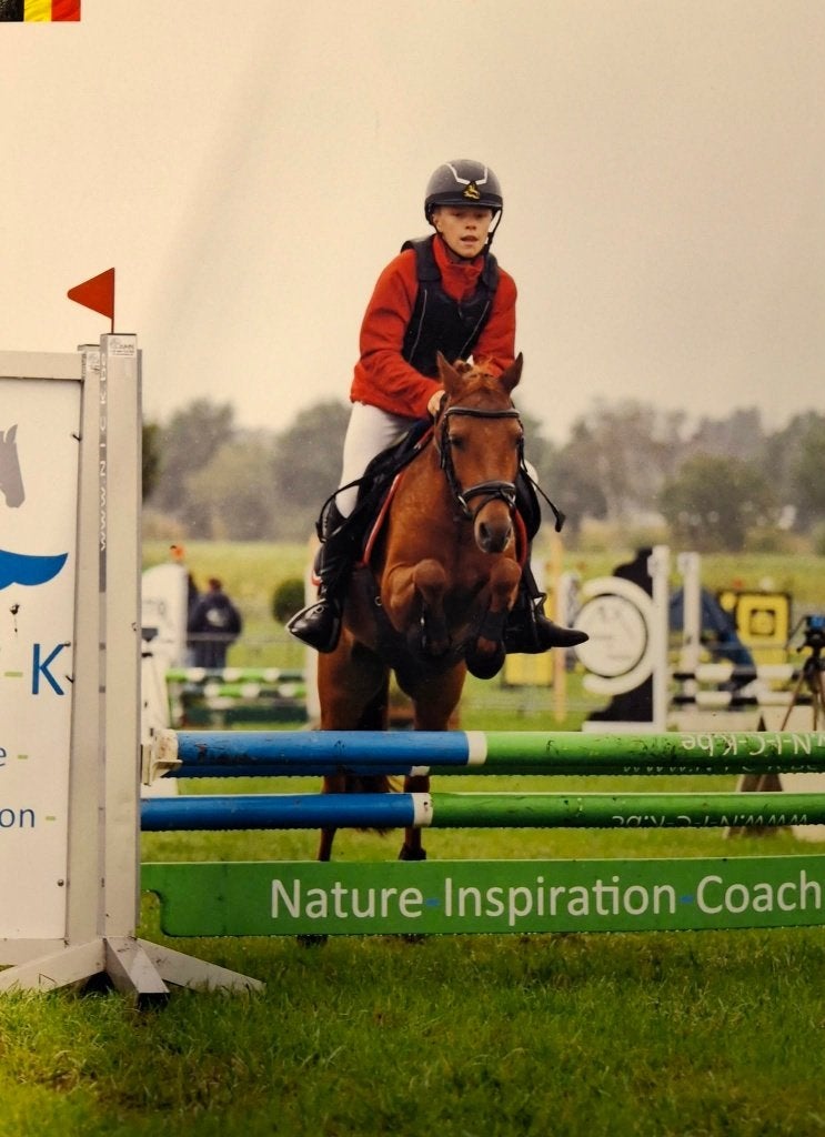 6 jarige b - sportpony, Dieren en Toebehoren, Met stamboom, Ruin, Niet van toepassing, Springpony