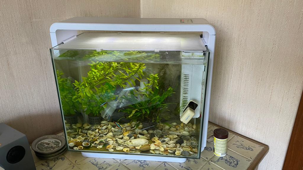 aquarium 30l, Ophalen, Gebruikt