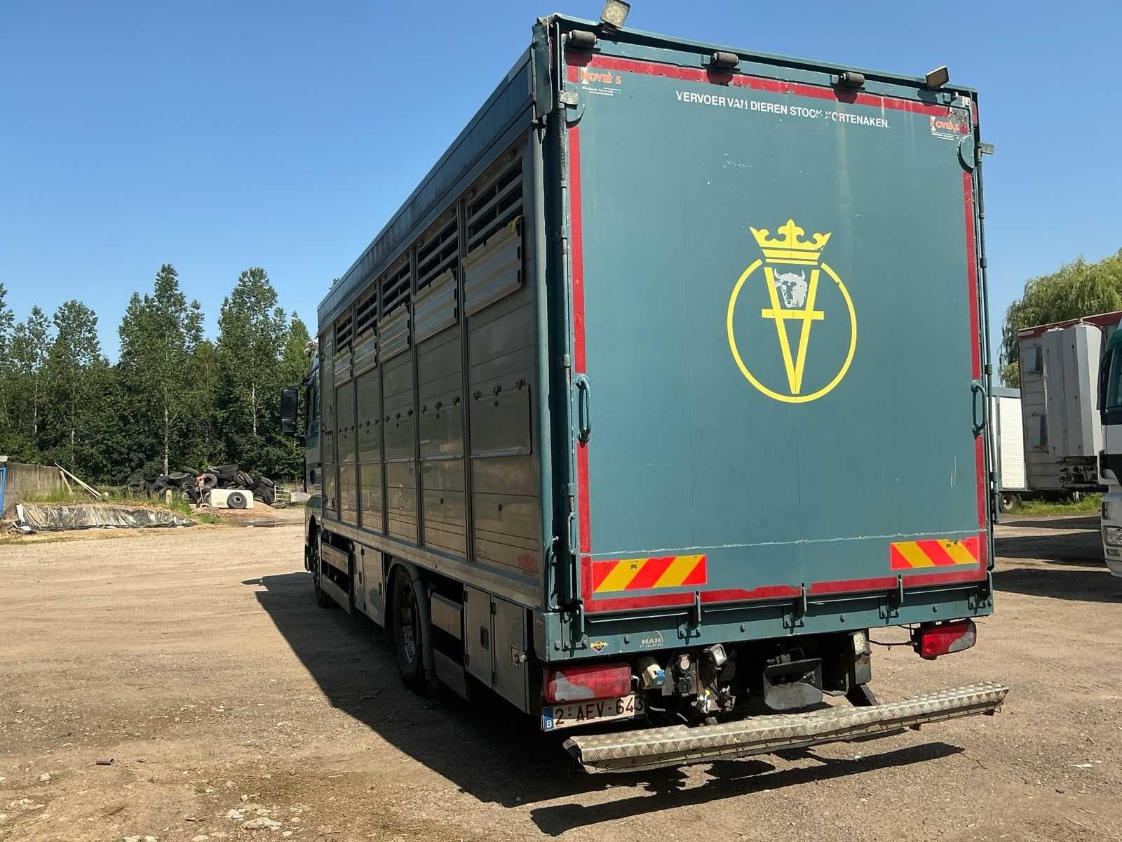 2014 MAN TGX Dierentrasnport Vrachtwagen, Euro 6, Bedrijf, Te koop, MAN