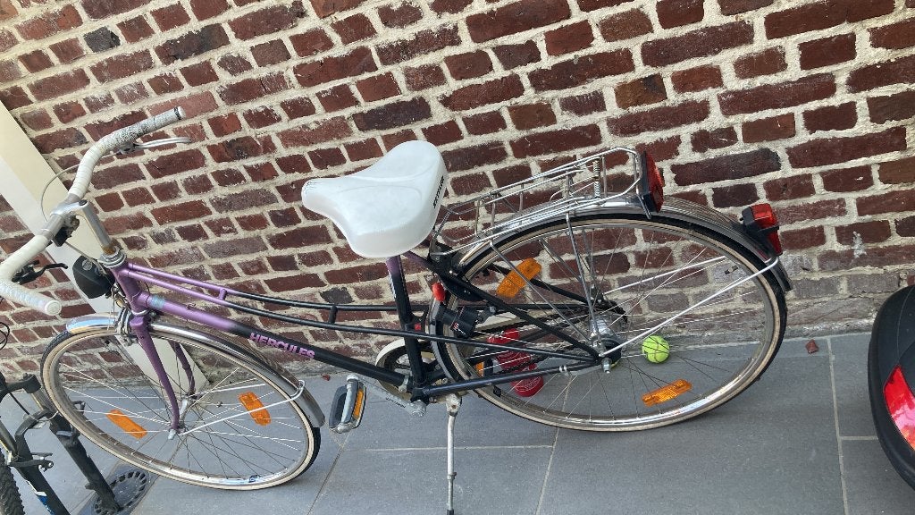Fiets, Terugtraprem, Gebruikt, Minder dan 47 cm, Ophalen