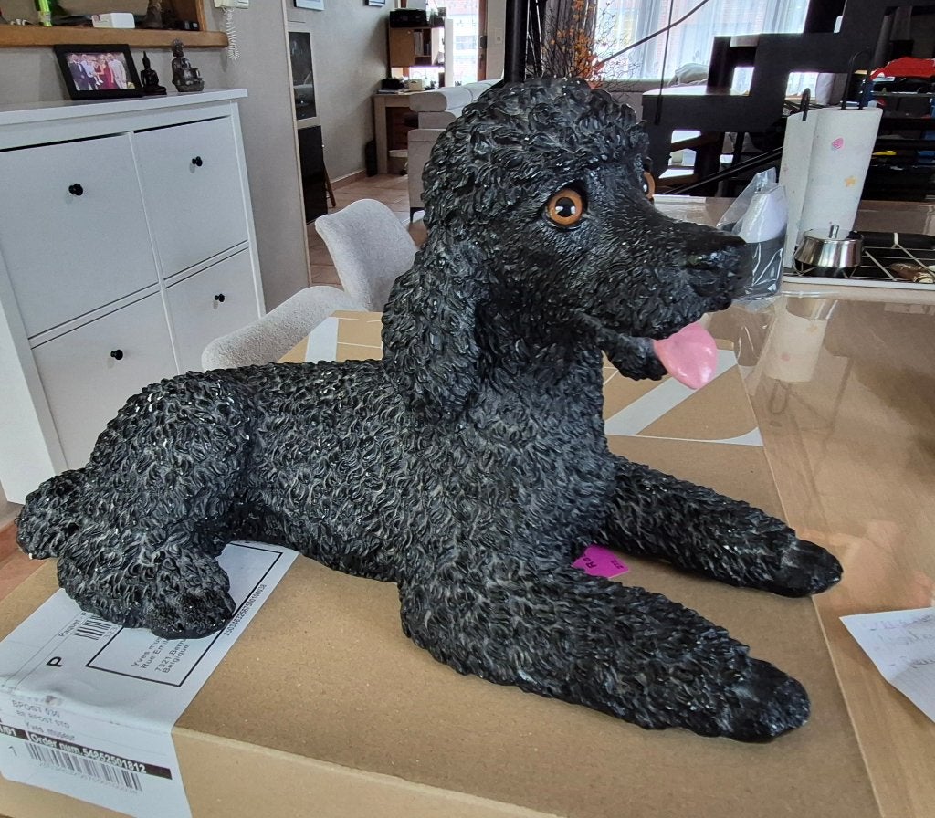 Statue Caniche Noir en résine – Décoration réaliste, Enlèvement, Utilisé, Autres matériaux, Animal