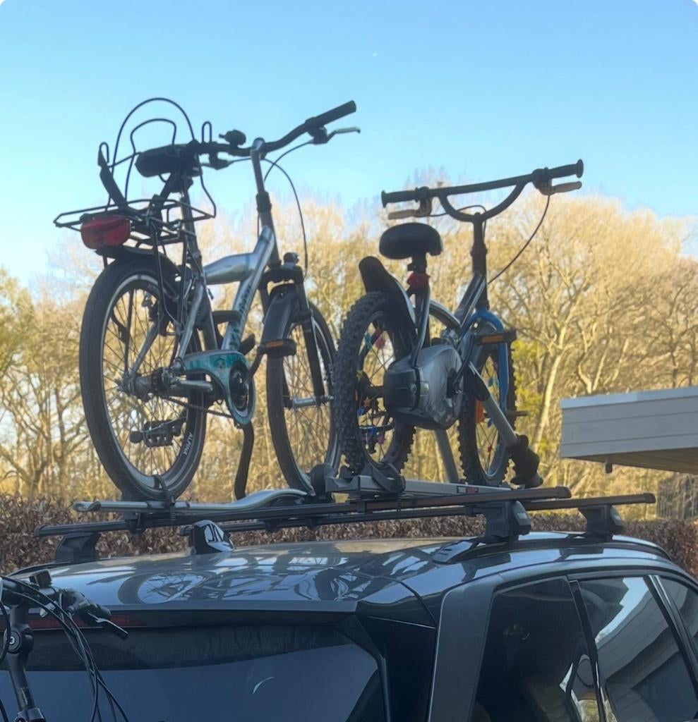 Thule dakdrager, Enlèvement