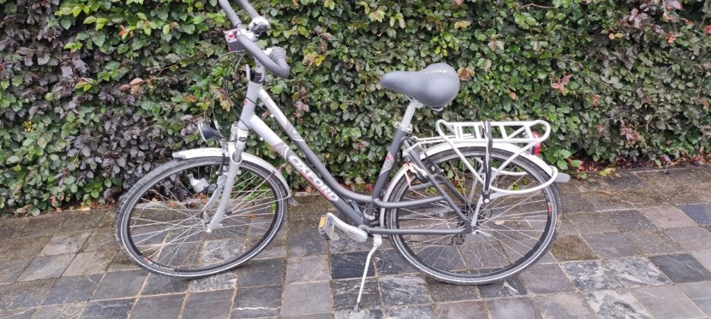 dames fiets Oxford, Fietsen en Brommers, Fietsen | Dames | Damesfietsen, Ophalen, Gebruikt