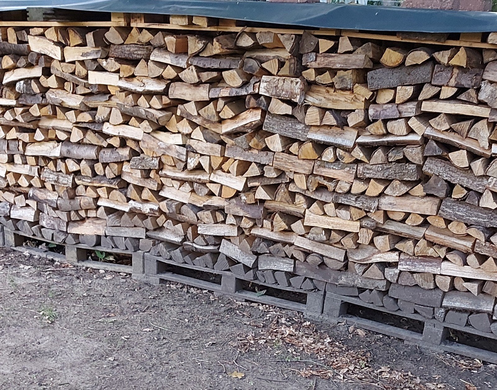 brandhout eik ,beuk, 6 m³ ou plus, Enlèvement, Chêne, Bûches
