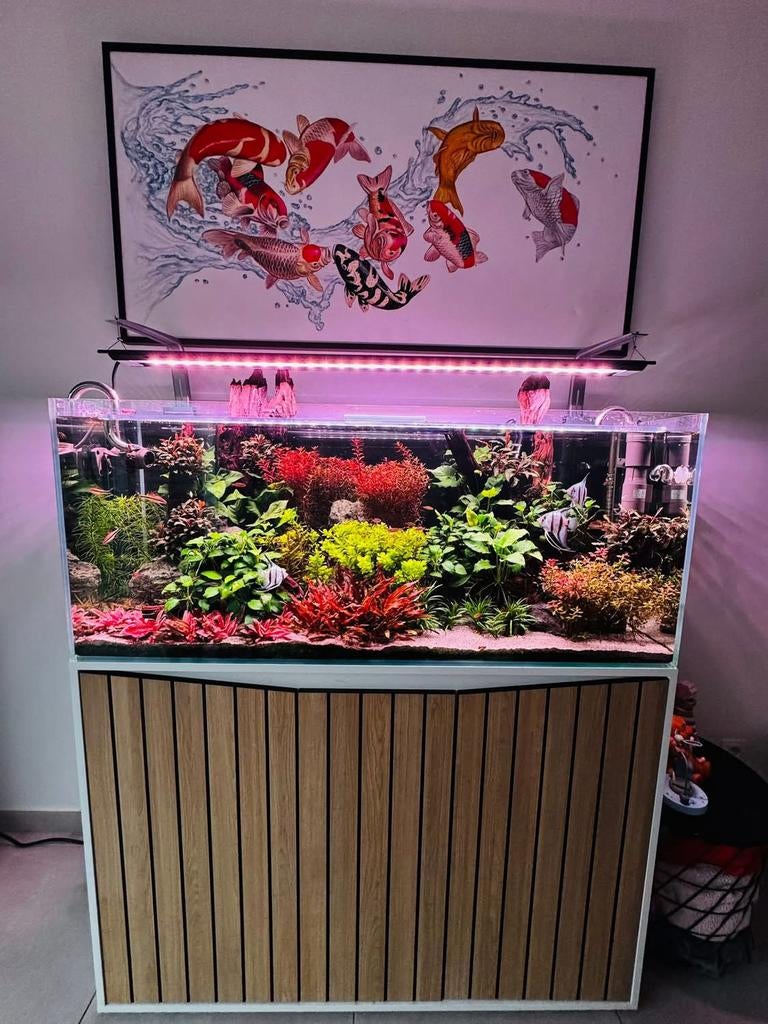 Volledig complete 240L aquarium, Dieren en Toebehoren, Vissen | Aquaria en Toebehoren, Ophalen, Pomp, Zo goed als nieuw, Chihiros