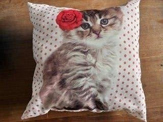 Kussen met schattige poes, Ophalen of Verzenden, Zo goed als nieuw