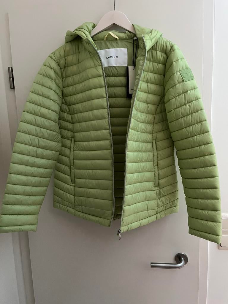 Nieuwe OPUS jas in fris lentegroen maat 40, Kleding | Dames, Ophalen of Verzenden, Nieuw, Maat 38/40 (M), Groen