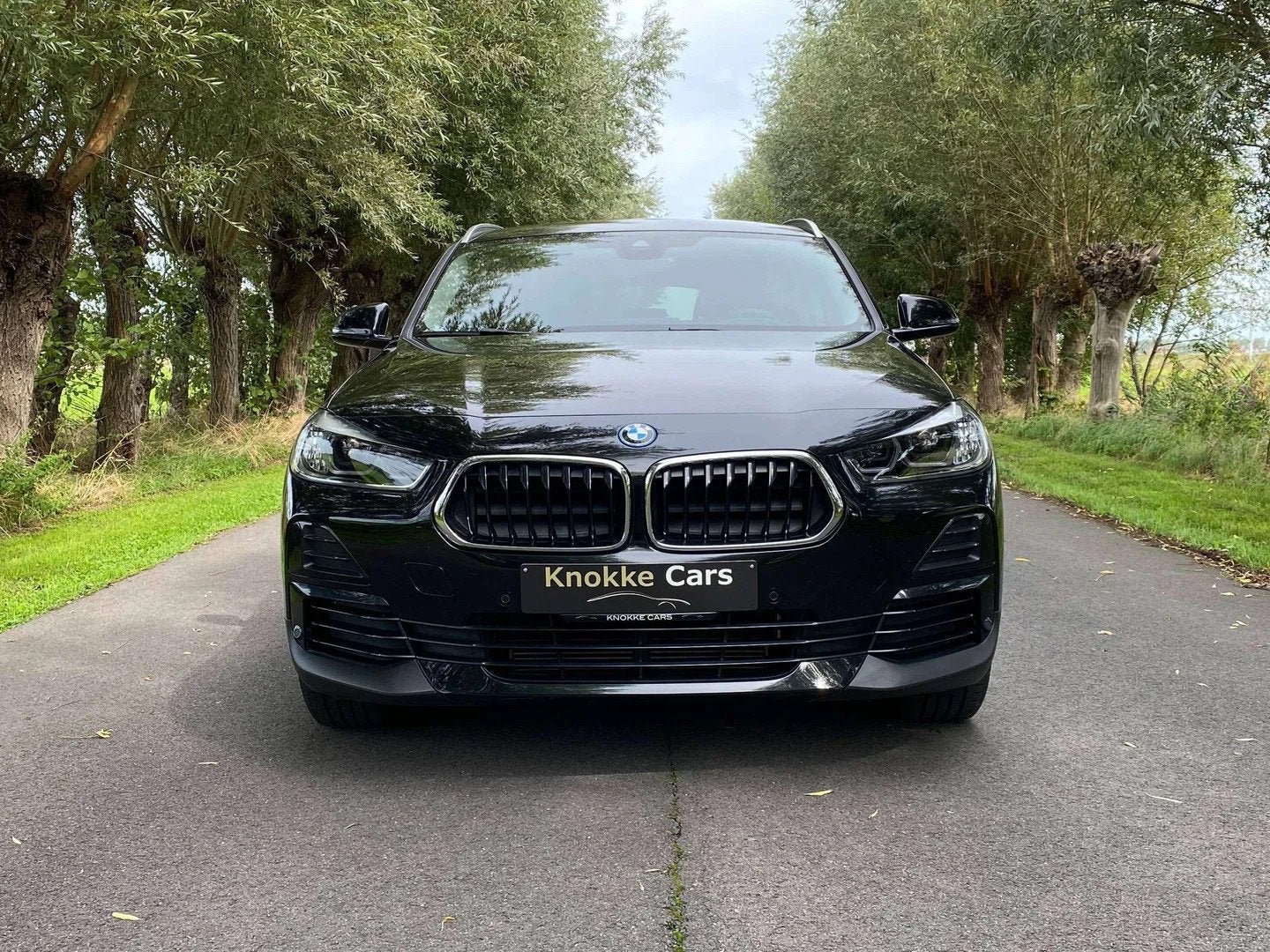 BMW X2 Plug in Hybride,Leder,Verwarmde zetels,Elektrische ko, Cuir, https://public.car-pass.be/vhr/b8ce3806-1c3e-45c3-a3f6-a6527aeda0f9