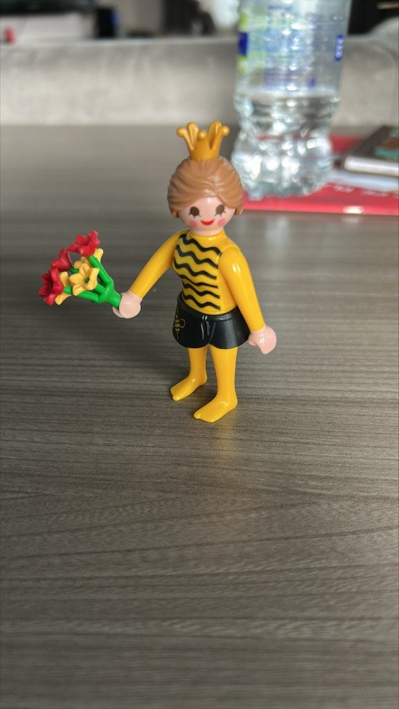 bijenmeisje playmobil, Enfants & Bébés, Jouets | Playmobil, Enlèvement ou Envoi, Comme neuf, Kit complet, Figurines