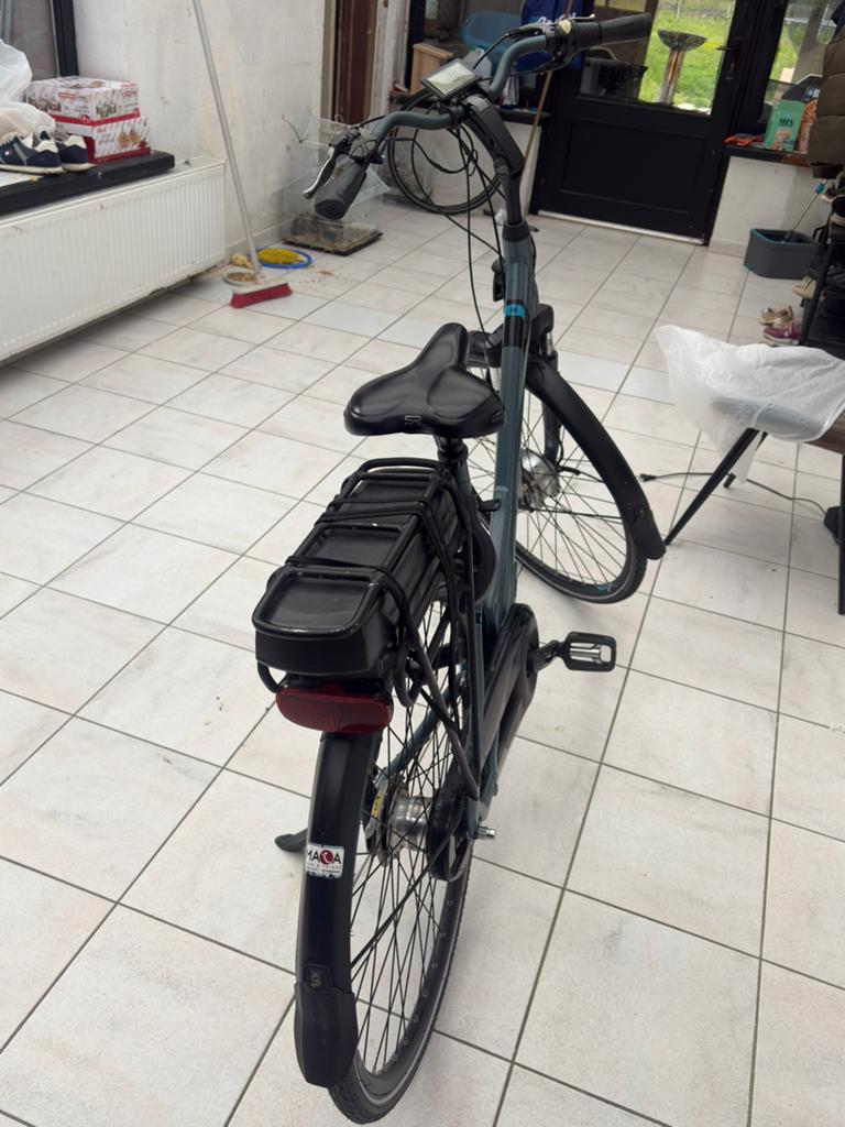 Giant Ease fiets, Fietsen en Brommers, Elektrische fietsen, Zo goed als nieuw, Giant, Ophalen