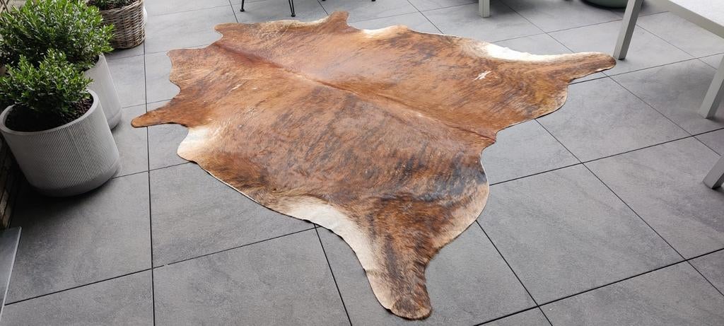 Prachtig koevel, koeienhuid vloertapijt, Huis en Inrichting, Stoffering | Tapijten en Vloerkleden, Ophalen, Bruin, 200 cm of meer