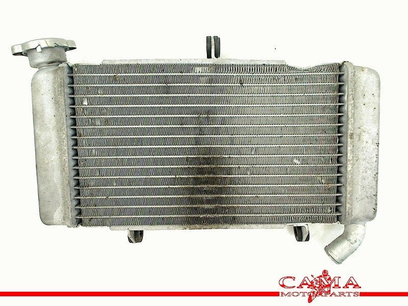 RADIATEUR Honda CBR 500 R 2021 (CBR500R) (01-2021/12-2021), Motoren, Dhr. S. di Majo, Gebruikt, Info@cama-motorparts.nl, P.J. Troelstraweg 8 8
3144 CX  MAASSLUIS, NL