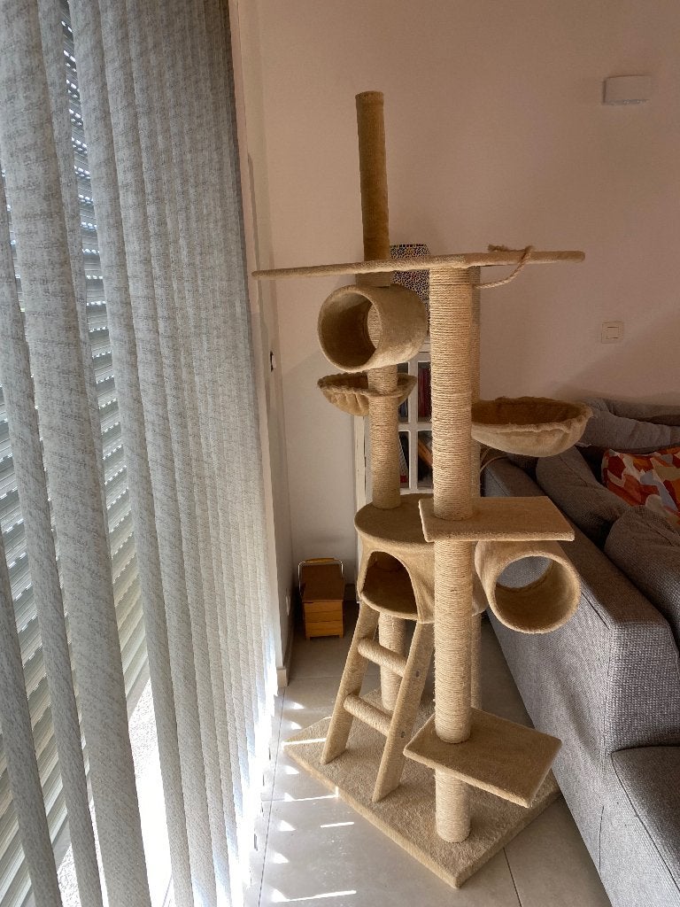 Prachtige kattenboom, Ophalen, Zo goed als nieuw