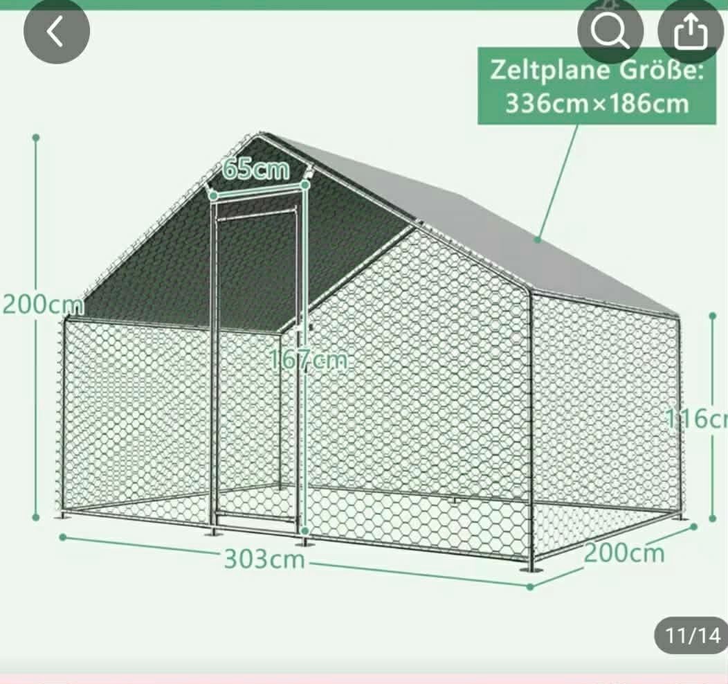 kippenren, Enlèvement