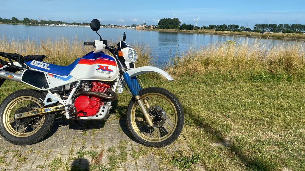 Honda xl600lm, Particulier