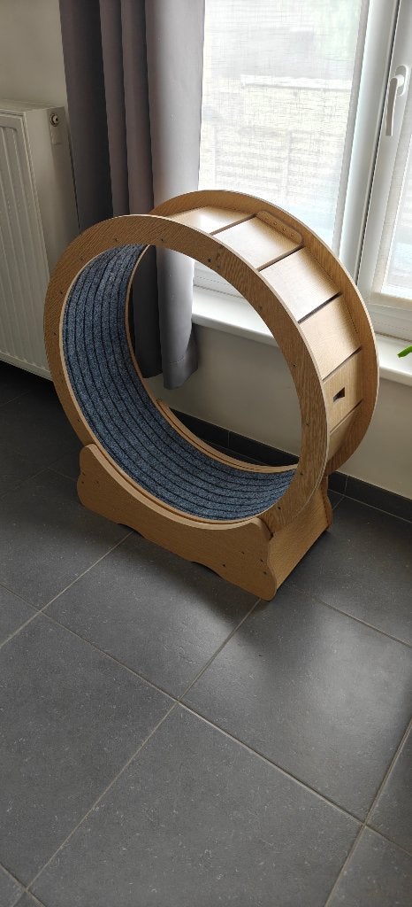 KAT LOOPREN, Dieren en Toebehoren, Katten-accessoires, Ophalen, Gebruikt