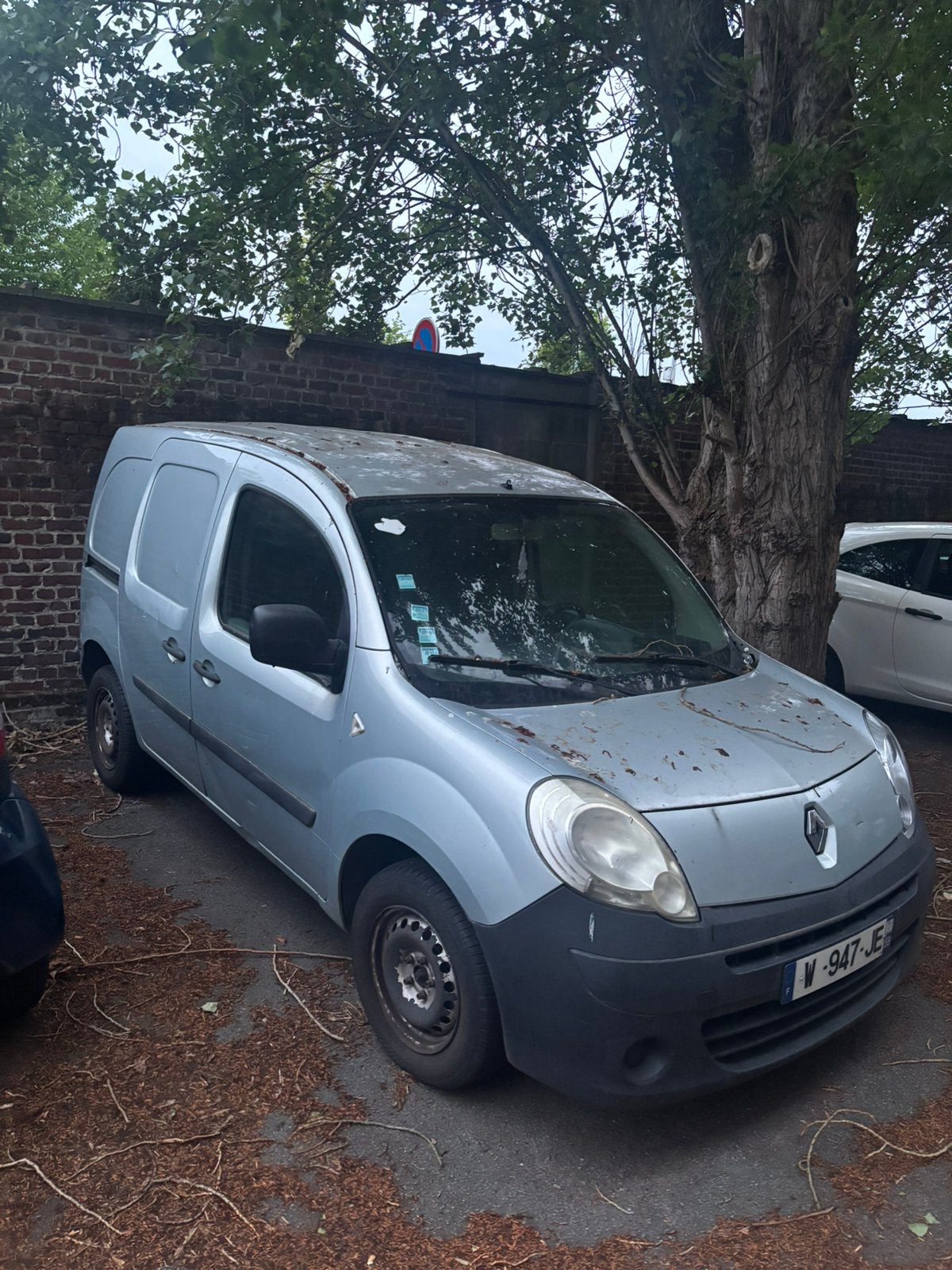 Kangoo 2010, Particulier, Achat