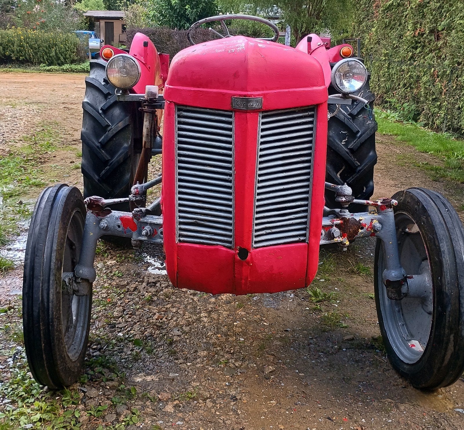 Ferguson 1955 te koop met papieren, Enlèvement, Oldtimer/Ancêtre, Jusqu'à 80 ch, Massey Ferguson