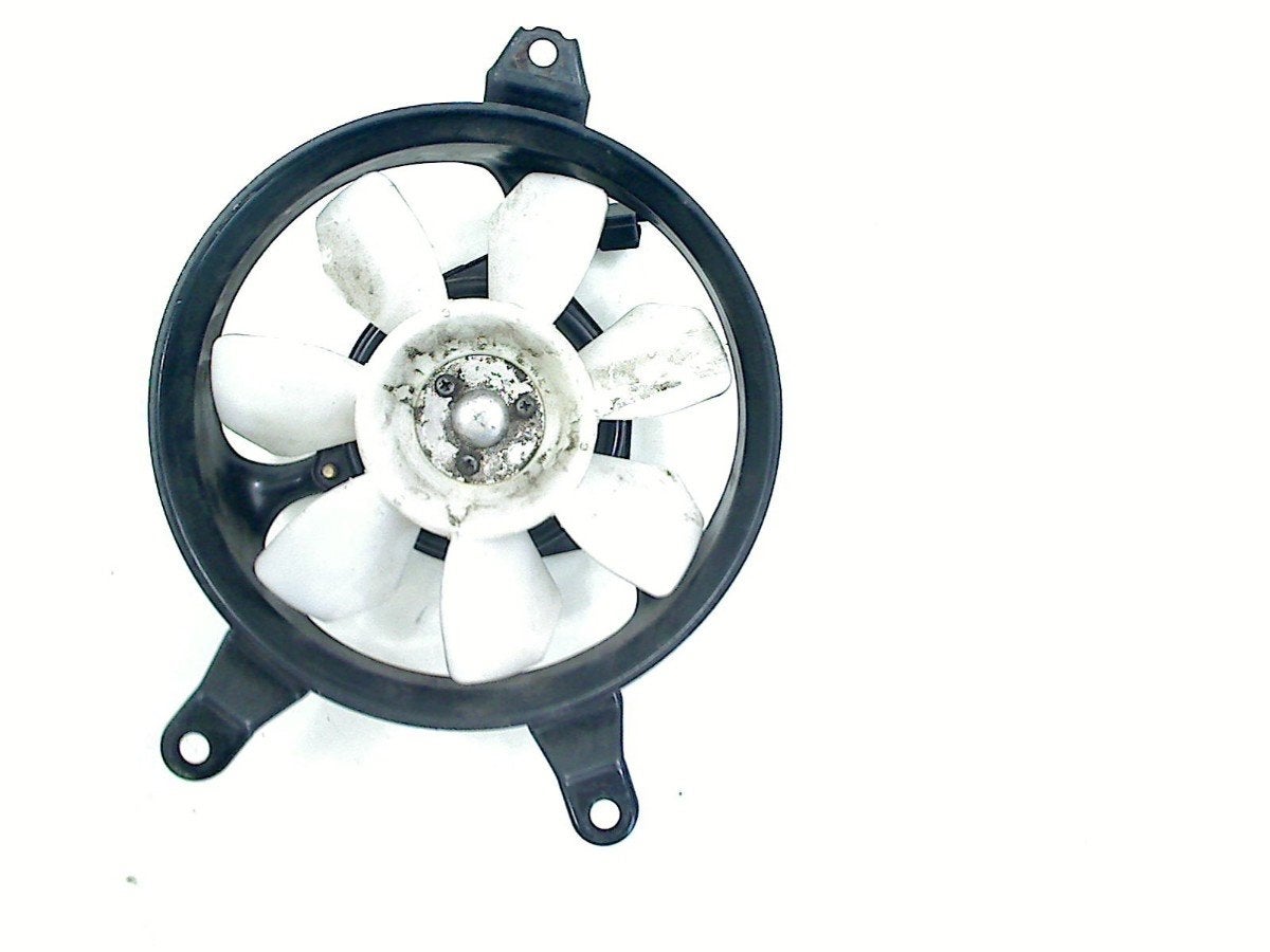 VENTILATOR Tiger 955 2001-2006 (T709EN 955i) (122750), Motoren, Dhr. S. di Majo, Gebruikt, Info@cama-motorparts.nl, P.J. Troelstraweg 8 8
3144 CX  MAASSLUIS, NL