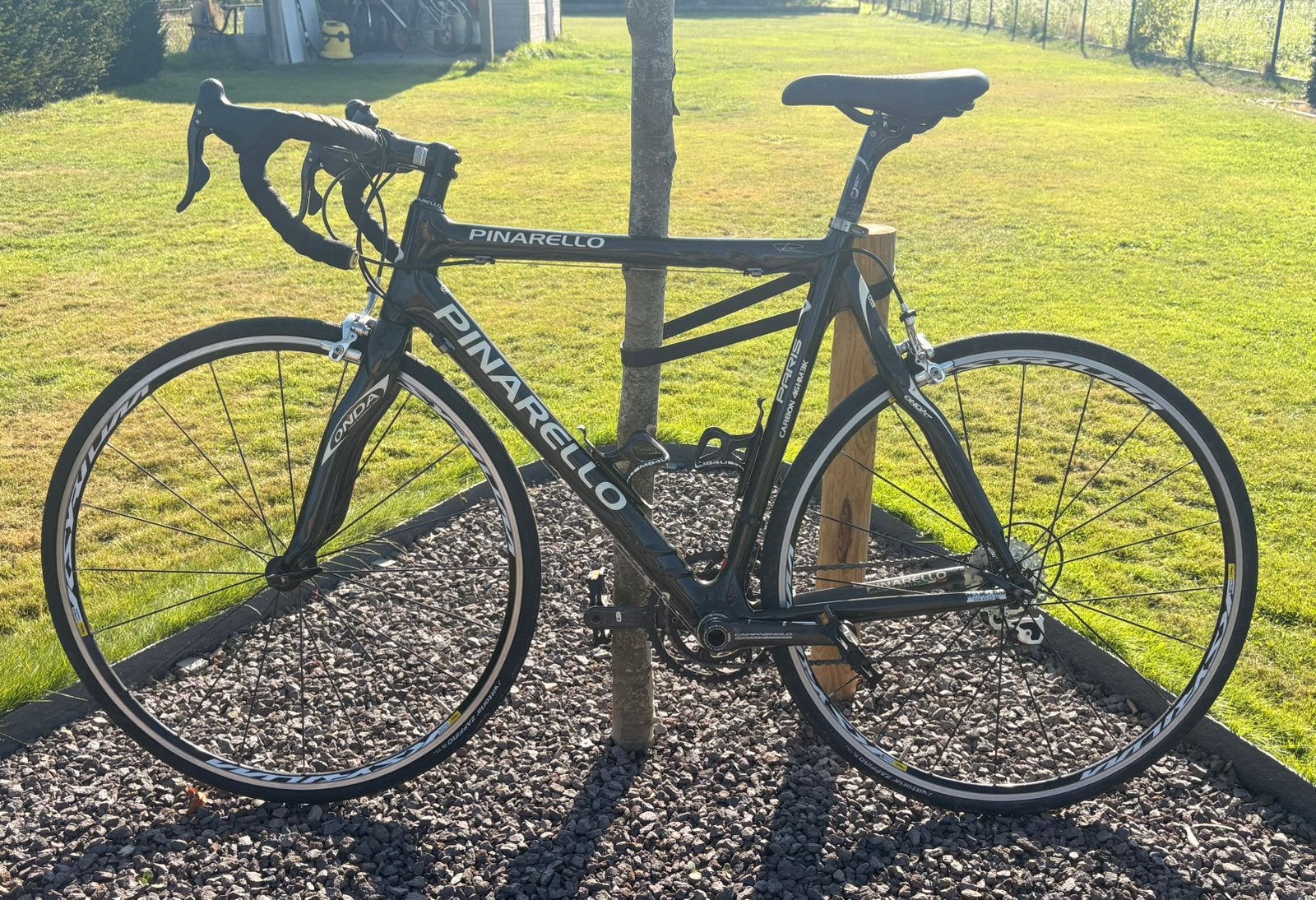 Pinarello Paris Carbon Racefiets Campagnolo 2x10, Fietsen en Brommers, 28 inch, Velgrem, Zo goed als nieuw, 15 tot 20 versnellingen