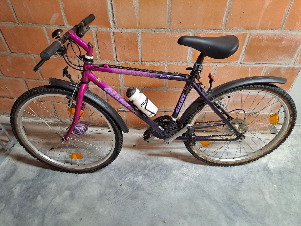 mountainbike merk Giant, Fietsen en Brommers, Gebruikt, Versnellingen, 53 tot 57 cm, Ophalen