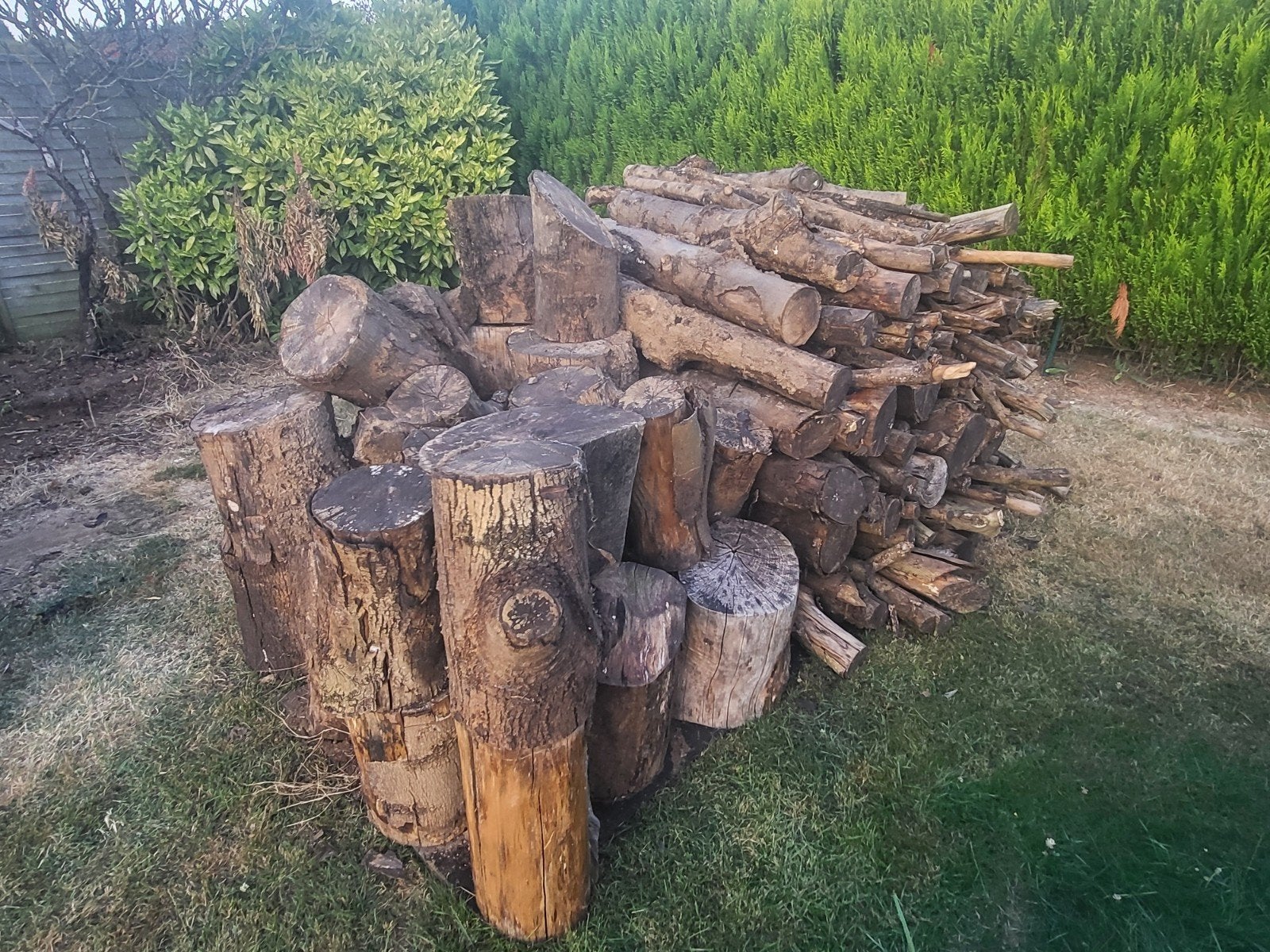 Bois de chauffage à fendre TRÈS SEC, Moins de 3 m³, Enlèvement