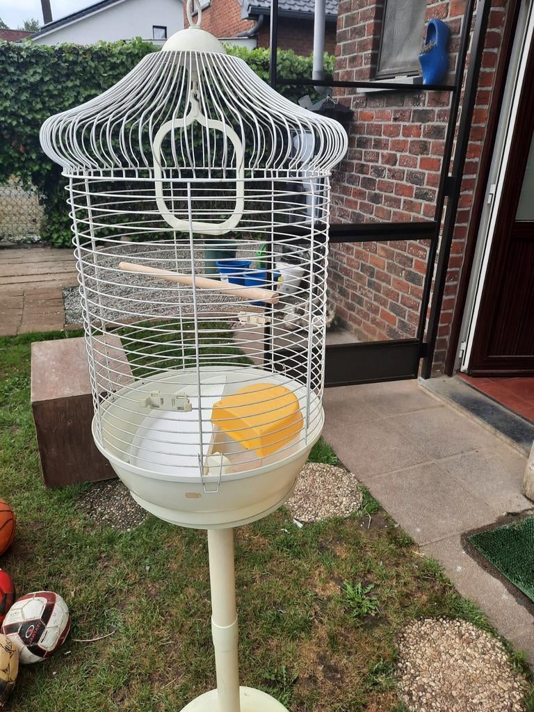 Vogelkooi op voet  en kweekkooi, Enlèvement, Cage à oiseaux