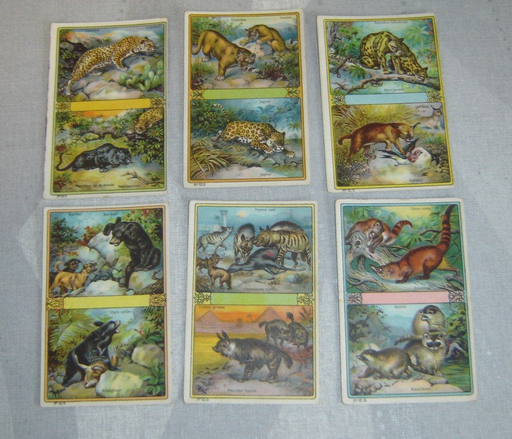 Margarine Chromos ERA Série 12, Collections, Avant 1940, Gravure, Utilisé, Autres sujets/thèmes