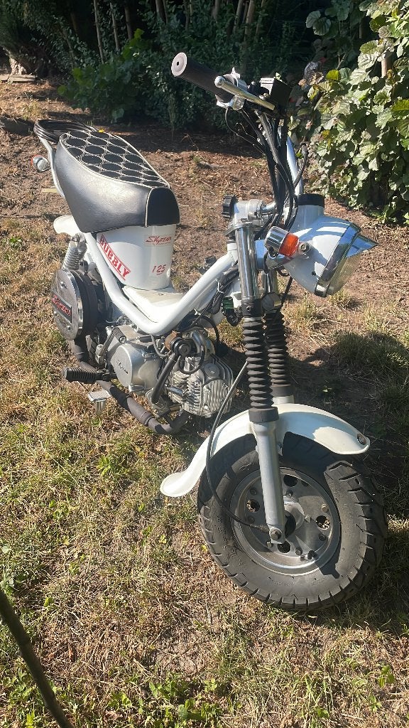 Dax replica styteam 125cc bubbly, Enlèvement, Neuf