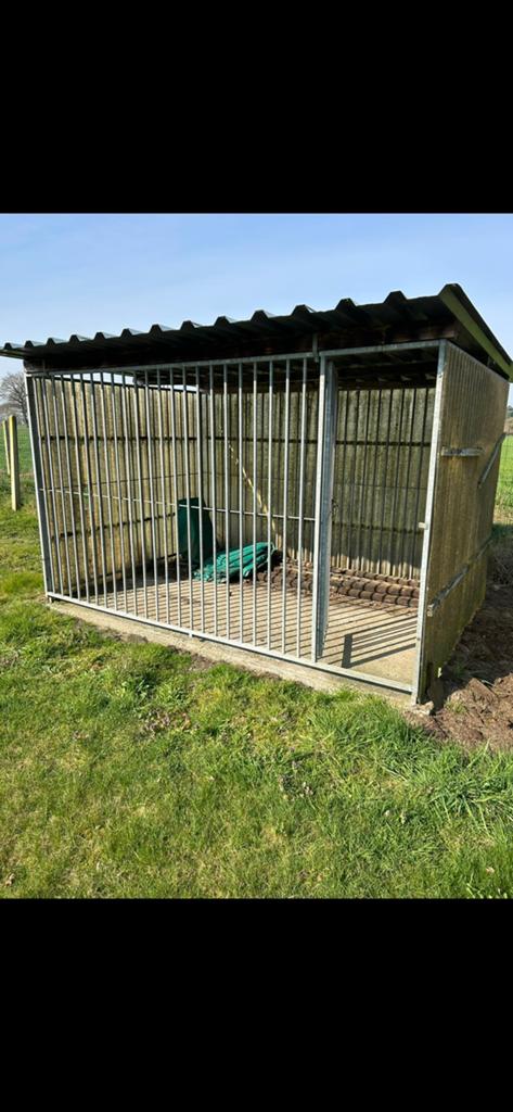 Hondenren, Dieren en Toebehoren, Ophalen, Gebruikt, Hondenhok, 100 cm of meer