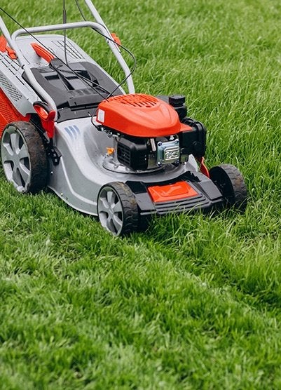 tuinman, Vacatures, Vacatures | Landbouw, Natuur en Milieu