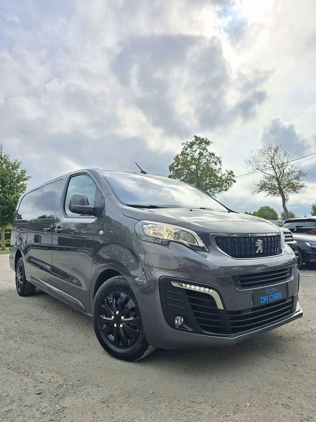 *Peugeot Expert Xl Double Cabine 5 Pl//Navi/Caméra//Cruis*, Autos, 90 kW, Argent ou Gris, Achat, Euro 6