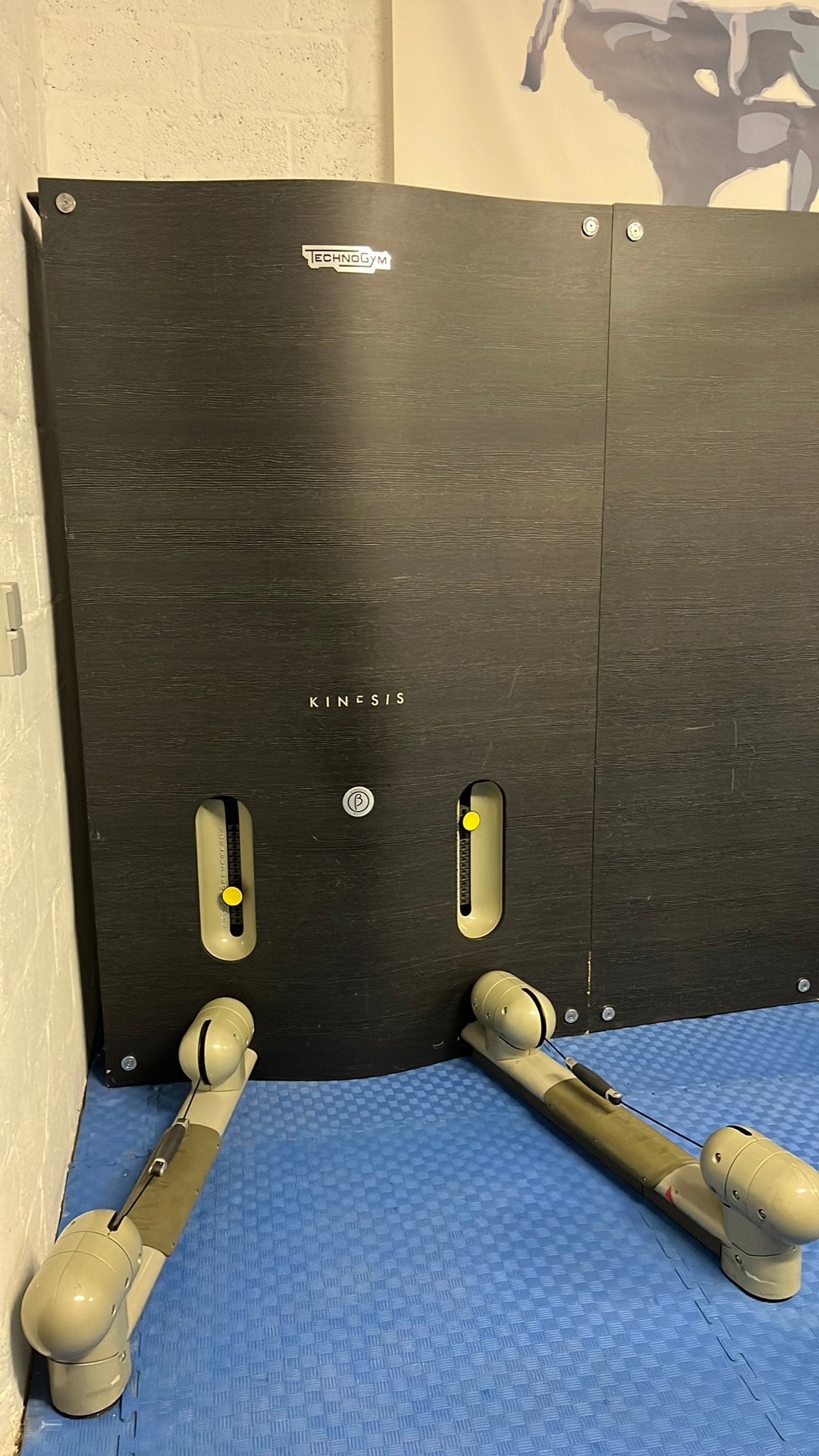 Technogym toestellen kinesis 4toestellen + tv, Enlèvement, Utilisé