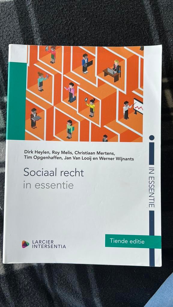 Dirk Heylen - Sociaal recht in essentie (tiende editie), Enlèvement, Neuf, Néerlandais, Dirk Heylen; Roy Melis
