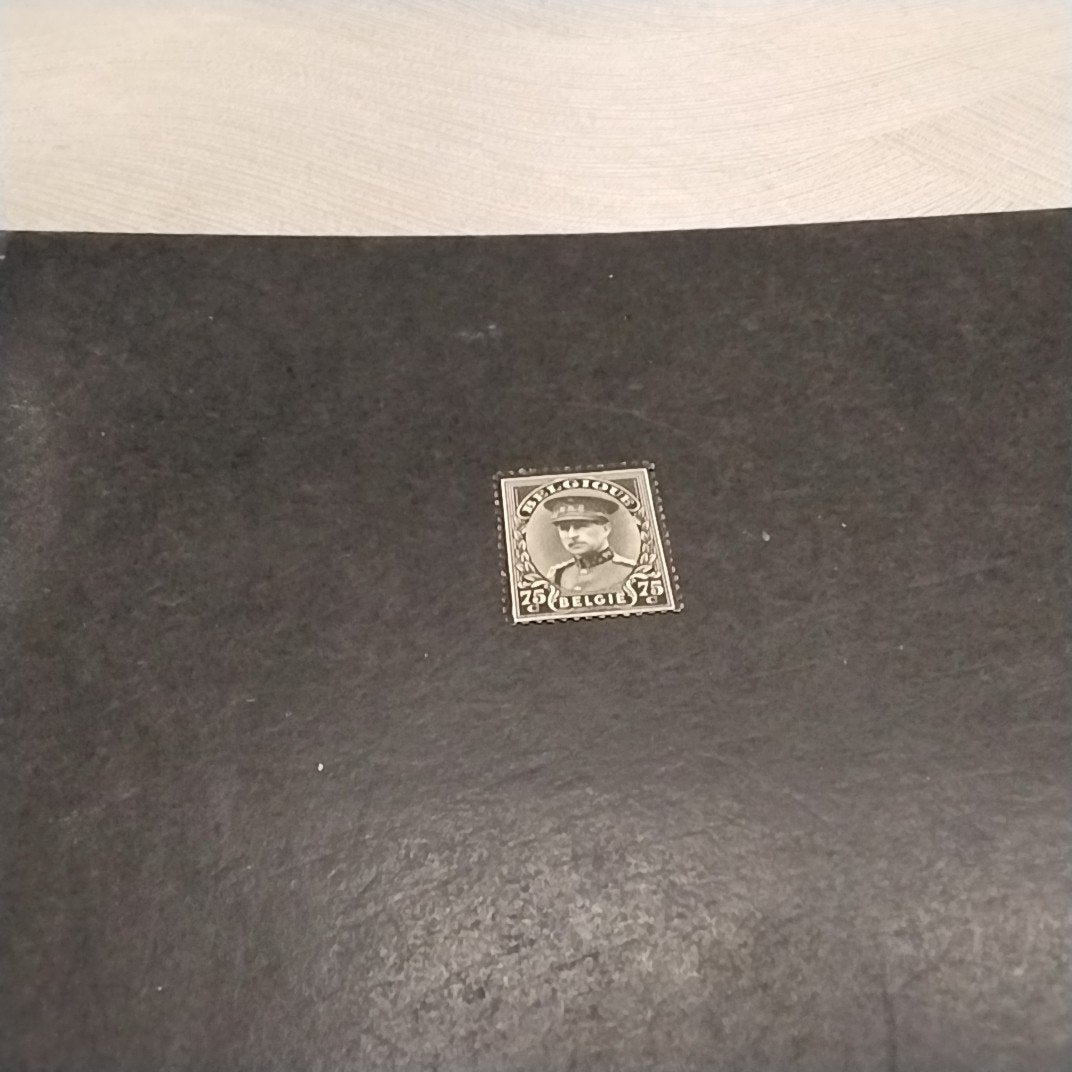 BELGIE  384 postfris met cote 1,50 €, Postzegels en Munten, Ophalen of Verzenden, Postfris