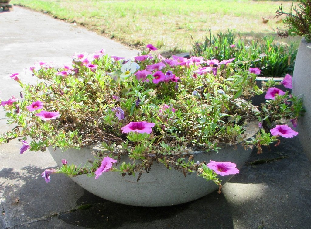 bol à fleurs gris, Jardin & Terrasse, Balcon, 40 cm ou plus, Enlèvement, Utilisé