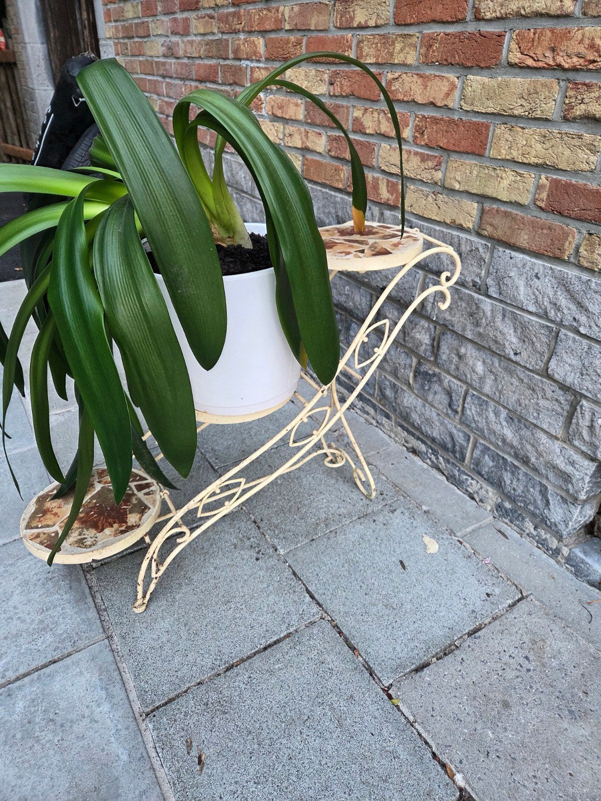 ancien porte plante fer forgé