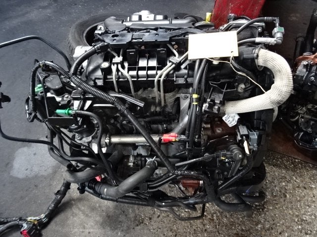 MOTEUR Ford Fiesta 6 (JA8) (01-2008/01-2018) (7M506810EB), Autos : Pièces & Accessoires, Moteurs & Accessoires, Henry-Ford-Straße  1
50735  Köln, DE