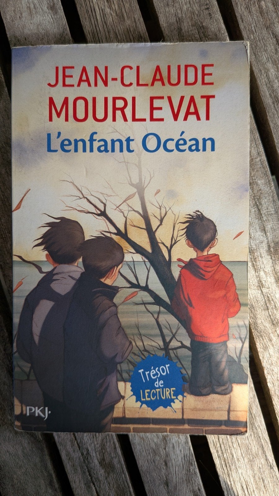L'enfant Océan, Enlèvement