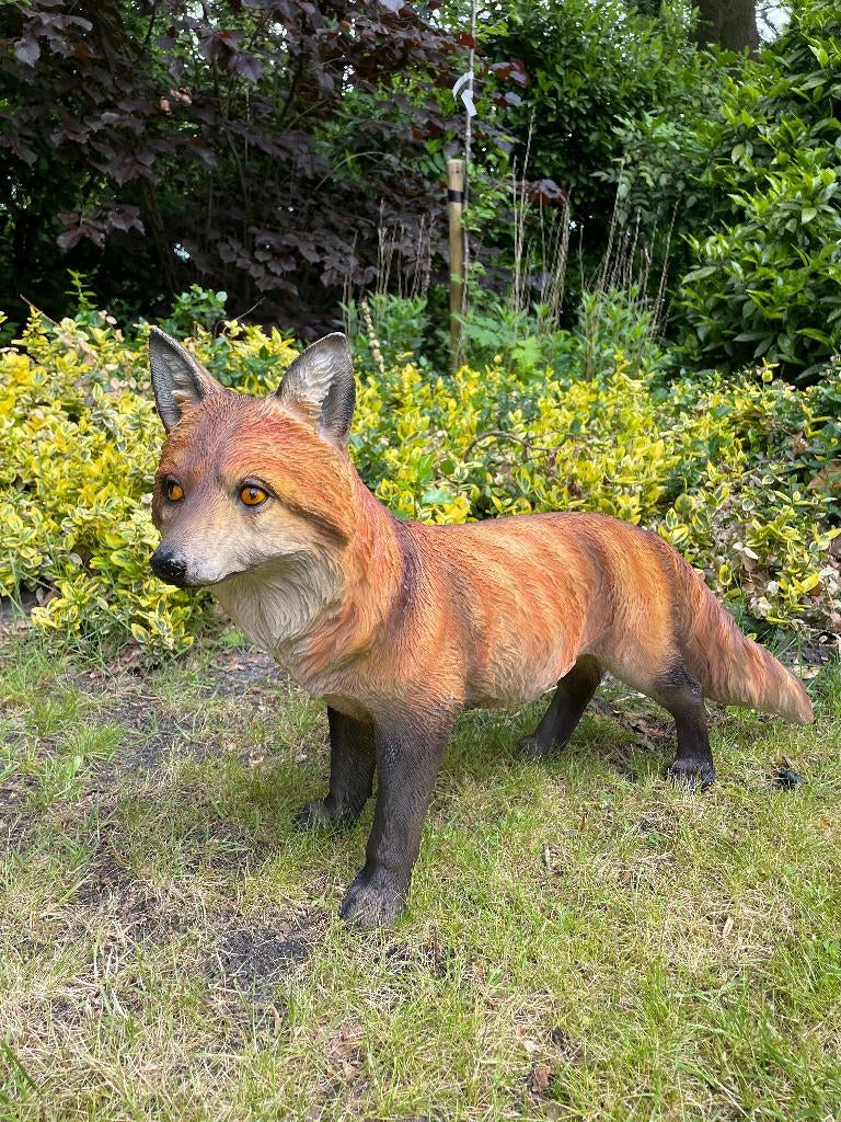 Renard qui court sur la pelouse, jardin, zoo, 70 cm, Enlèvement, Neuf, Synthétique, Animal