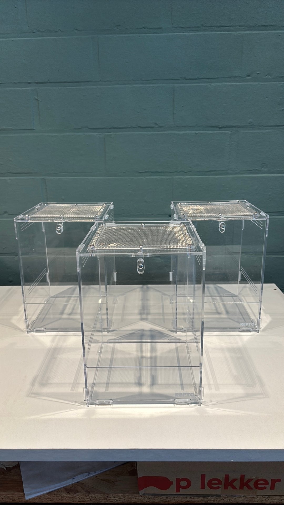 Repto Terra Clear 15x16,5x21,5cm, Animaux & Accessoires, Reptiles & Amphibiens | Accessoires, Enlèvement, Terrarium ou Paludarium
