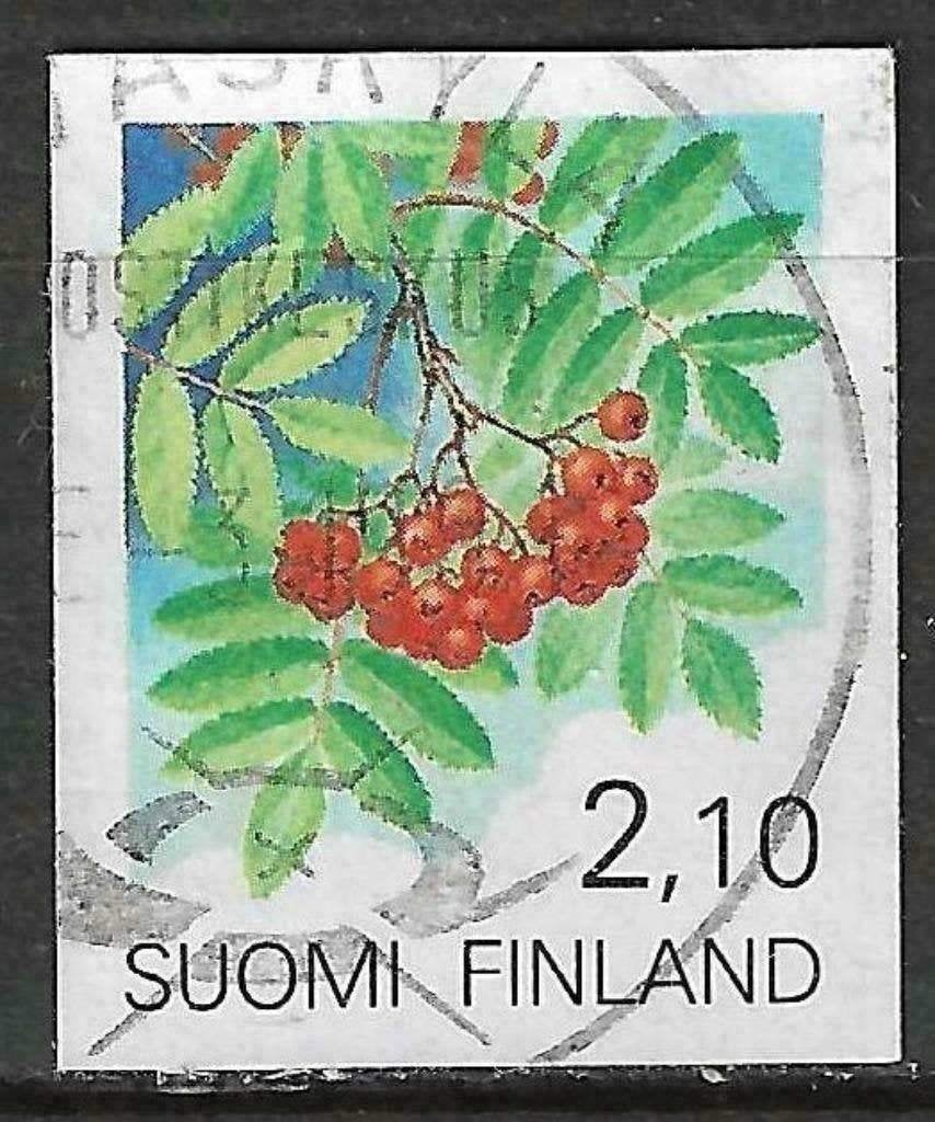 Finland 1991 - Yvert 1095 - Bloemen (ST), Verzenden, Finland, Gestempeld