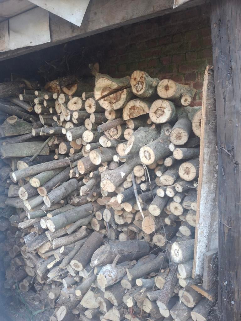 Brandhout, Ophalen of Verzenden