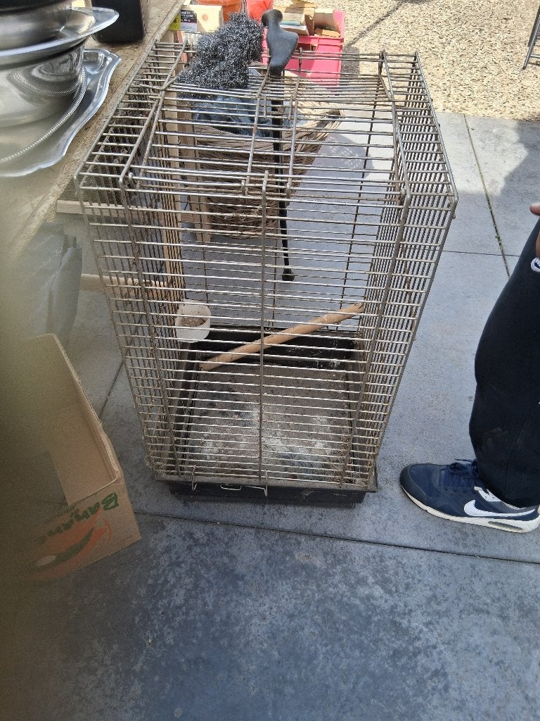 Cage perroquet, Enlèvement, Utilisé, Métal, Cage à oiseaux