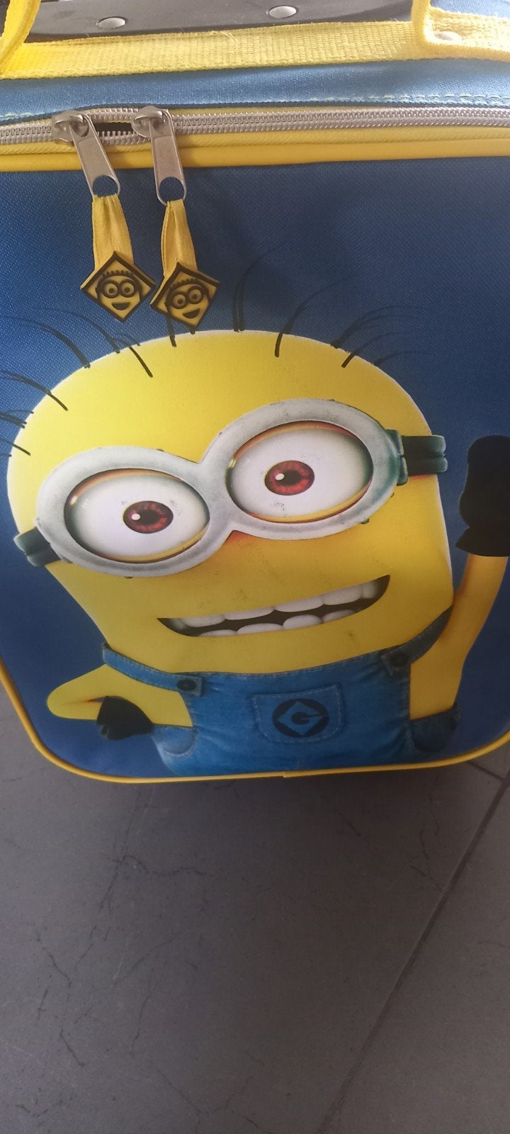 Reisadvies minion, Ophalen