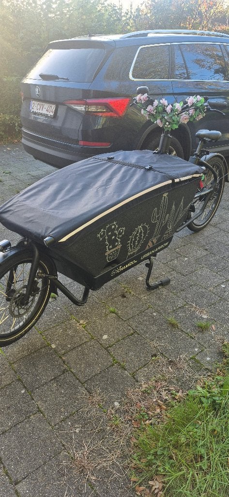 Urban Arrow Family performance plus in uitstekende staat., Fietsen en Brommers, Gebruikt, Elektrisch, 2 kinderen, Schijfrem