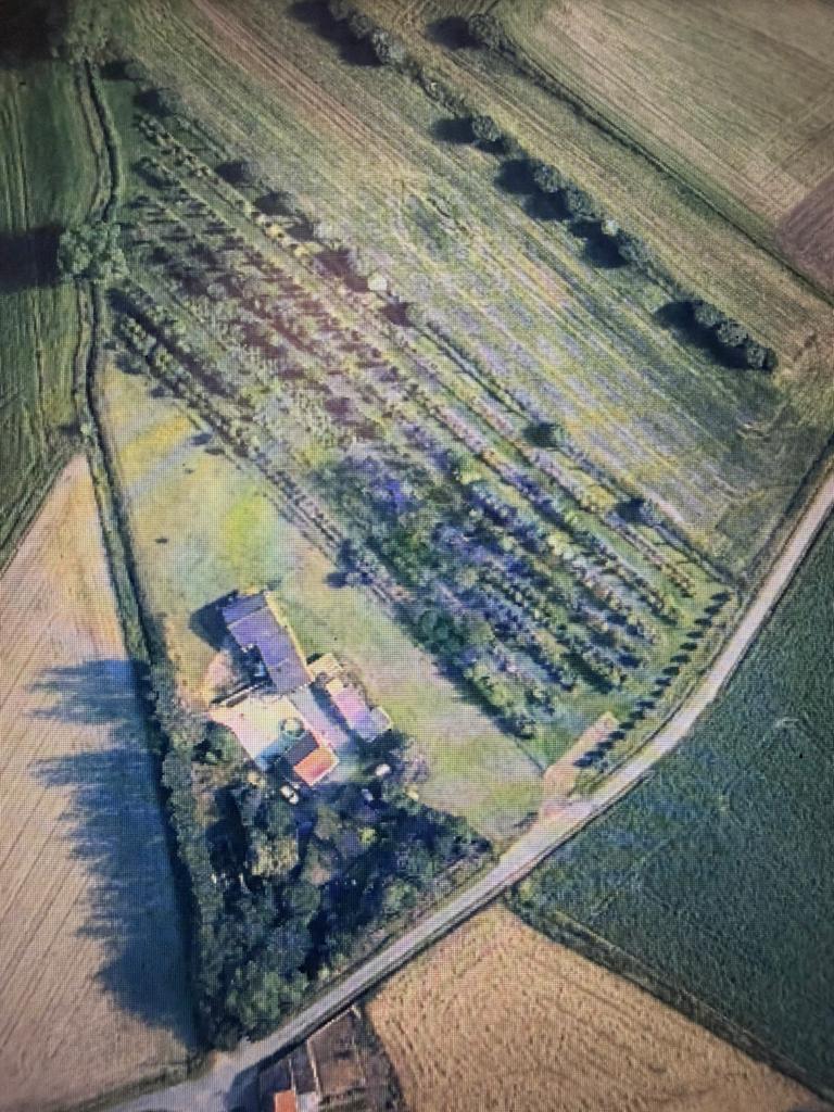 Charmante hoeve Te Koop, Immo, Maisons à vendre, Province de Flandre-Occidentale, 1500 m² ou plus