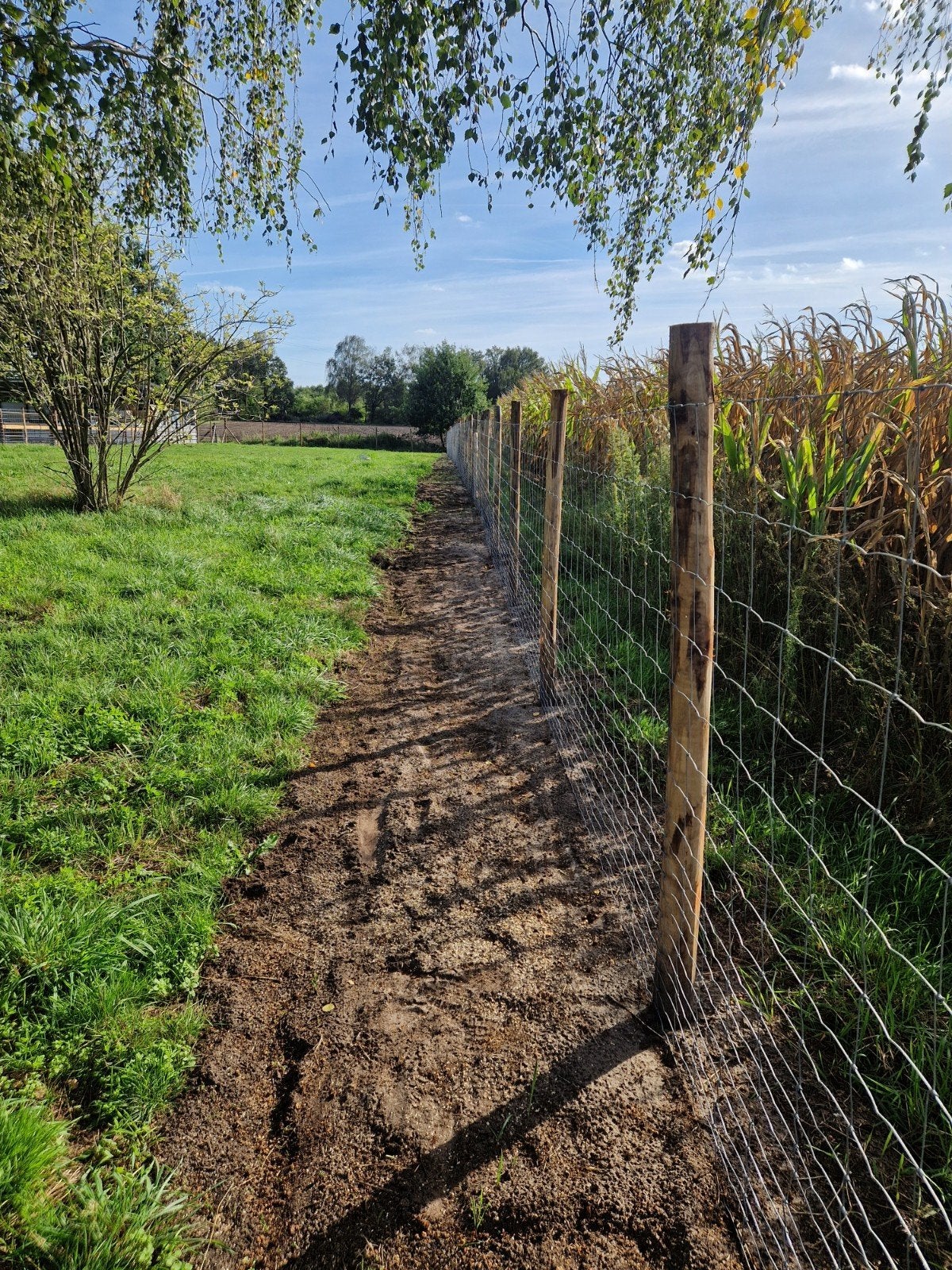Landelijke omheiningen, fruithagen. verkoop en plaatsing, Ophalen of Verzenden, Hout